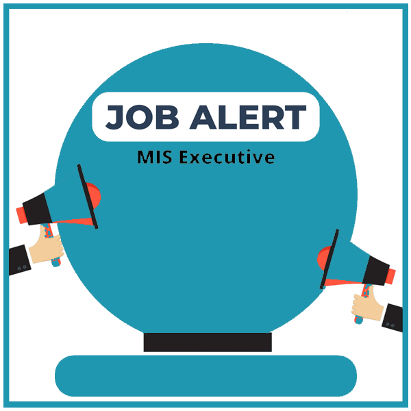 MIS Executive