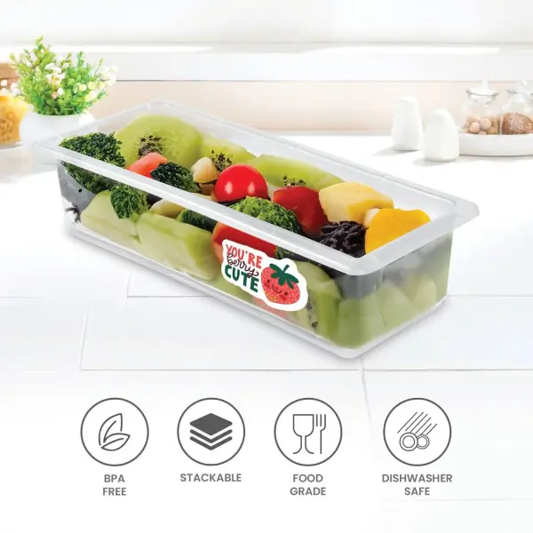 MILTON-Cryo Fridge Storage Boxes Set of 6 Fridge Organizer Container with Waterproof Vinyl Stickers & Removable Drain Plate, Lid, Stackable Box, Plastic Containers 1500 ml, Transparent