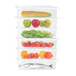 MILTON-Cryo Fridge Storage Boxes Set of 6 Fridge Organizer Container with Waterproof Vinyl Stickers & Removable Drain Plate, Lid, Stackable Box, Plastic Containers 1500 ml, Transparent