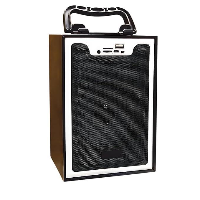 Portable Wooden Bluetooth Speaker 10W – Super Bass,