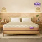 Wakefit-ErgoTech EcoLatex Plus Mattress