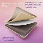 Wakefit-ErgoTech EcoLatex Plus Mattress