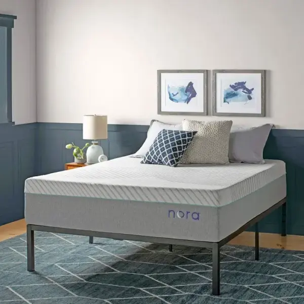 Wayfair-Nora 13" Ultra Plush Gel Memory Foam Mattress with Icy Cool Cover