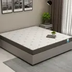 WoodenStreet-Penguin Ortho-Memory Foam Mattress