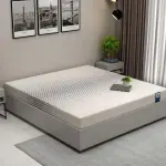 WoodenStreet-Penguin DreamLux High Density HR Foam Mattress