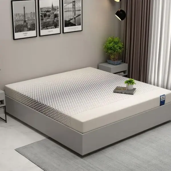 WoodenStreet-Penguin DreamLux High Density HR Foam Mattress