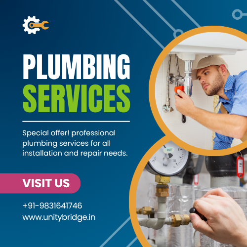 Professional Plumbing Services